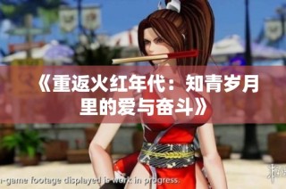 《重返火红年代：知青岁月里的爱与奋斗》