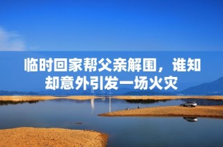 临时回家帮父亲解围，谁知却意外引发一场火灾