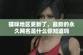 猫咪地区更新了，最新的永久网名是什么你知道吗