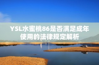 YSL水蜜桃86是否满足成年使用的法律规定解析