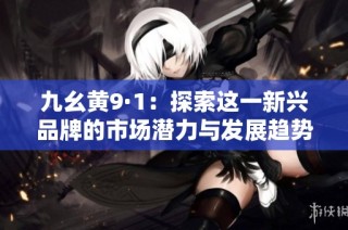 九幺黄9·1：探索这一新兴品牌的市场潜力与发展趋势