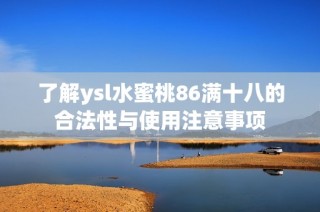 了解ysl水蜜桃86满十八的合法性与使用注意事项
