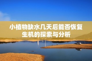 小植物缺水几天后能否恢复生机的探索与分析