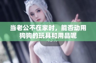 当老公不在家时，能否动用狗狗的玩具和用品呢