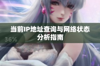 当前IP地址查询与网络状态分析指南