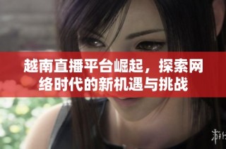 越南直播平台崛起，探索网络时代的新机遇与挑战