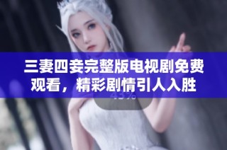 三妻四妾完整版电视剧免费观看，精彩剧情引人入胜