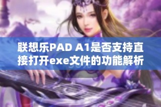 联想乐PAD A1是否支持直接打开exe文件的功能解析