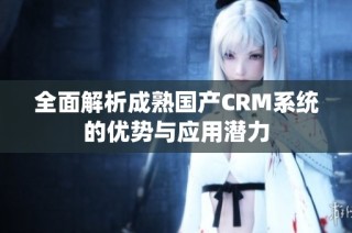 全面解析成熟国产CRM系统的优势与应用潜力