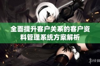 全面提升客户关系的客户资料管理系统方案解析
