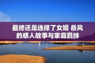 最终还是选择了女婿 岳风的感人故事与家庭羁绊
