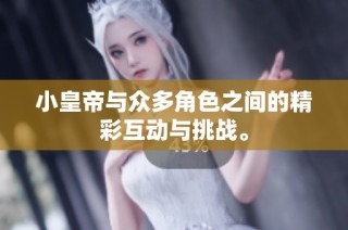 小皇帝与众多角色之间的精彩互动与挑战。