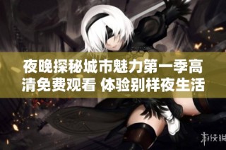 夜晚探秘城市魅力第一季高清免费观看 体验别样夜生活