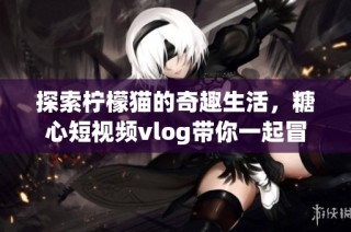 探索柠檬猫的奇趣生活，糖心短视频vlog带你一起冒险
