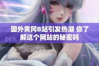 国外黄冈B站引发热潮 你了解这个网站的秘密吗