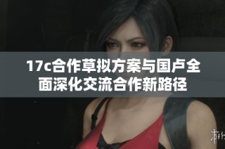 17c合作草拟方案与国卢全面深化交流合作新路径