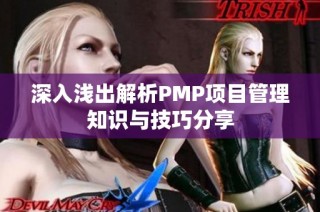 深入浅出解析PMP项目管理知识与技巧分享