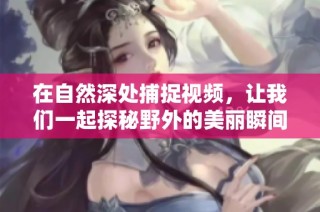 在自然深处捕捉视频，让我们一起探秘野外的美丽瞬间
