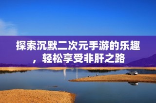 探索沉默二次元手游的乐趣，轻松享受非肝之路