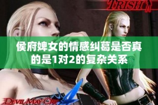 侯府婢女的情感纠葛是否真的是1对2的复杂关系