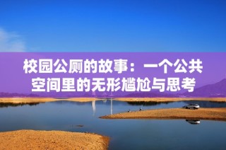 校园公厕的故事：一个公共空间里的无形尴尬与思考