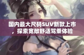 国内最大尺码SUV新款上市，探索宽敞舒适驾乘体验