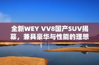 全新WEY VV8国产SUV揭幕，兼具豪华与性能的理想之选