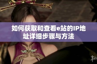 如何获取和查看e站的IP地址详细步骤与方法
