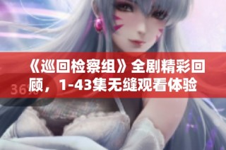《巡回检察组》全剧精彩回顾，1-43集无缝观看体验！