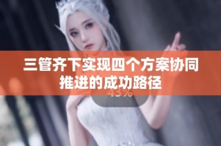 三管齐下实现四个方案协同推进的成功路径
