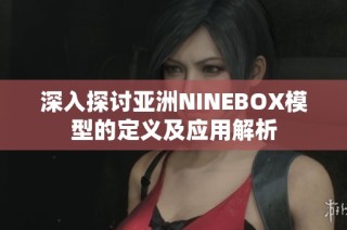 深入探讨亚洲NINEBOX模型的定义及应用解析