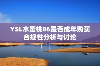 YSL水蜜桃86是否成年购买合规性分析与讨论