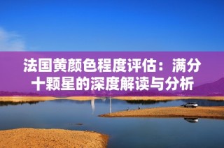 法国黄颜色程度评估：满分十颗星的深度解读与分析