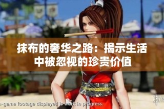 抹布的奢华之路：揭示生活中被忽视的珍贵价值