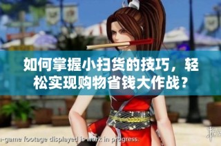 如何掌握小扫货的技巧，轻松实现购物省钱大作战？