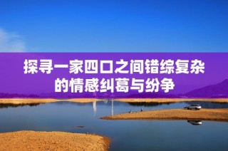 探寻一家四口之间错综复杂的情感纠葛与纷争