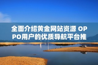 全面介绍黄金网站资源 OPPO用户的优质导航平台推荐