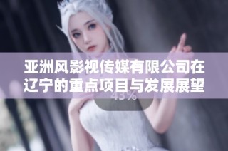 亚洲风影视传媒有限公司在辽宁的重点项目与发展展望