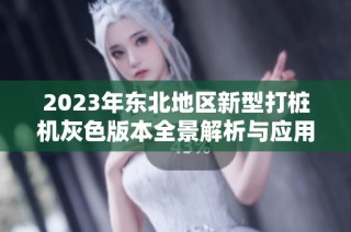 2023年东北地区新型打桩机灰色版本全景解析与应用探讨