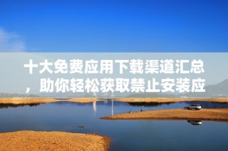 十大免费应用下载渠道汇总，助你轻松获取禁止安装应用