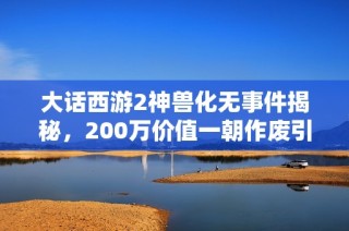 大话西游2神兽化无事件揭秘，200万价值一朝作废引发热议