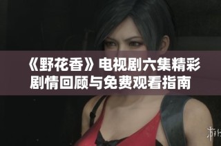 《野花香》电视剧六集精彩剧情回顾与免费观看指南