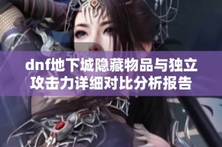 dnf地下城隐藏物品与独立攻击力详细对比分析报告