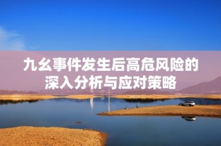 九幺事件发生后高危风险的深入分析与应对策略