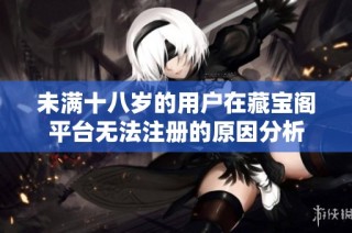 未满十八岁的用户在藏宝阁平台无法注册的原因分析