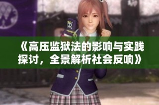《高压监狱法的影响与实践探讨，全景解析社会反响》