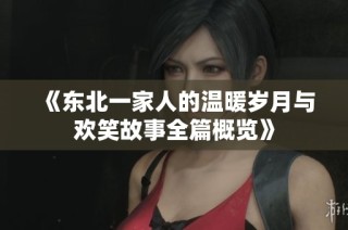 《东北一家人的温暖岁月与欢笑故事全篇概览》