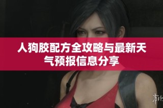 人狗胶配方全攻略与最新天气预报信息分享