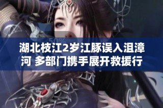 湖北枝江2岁江豚误入沮漳河 多部门携手展开救援行动