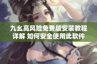 九幺高风险免费版安装教程详解 如何安全使用此软件